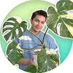 @cyrilcybernated Instagram Profile