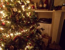 Instagram post by @k4teturner