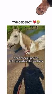 Instagram post by @spanishonline_