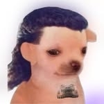 @suscato Instagram Profile