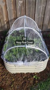 Instagram post by @ds.gardening