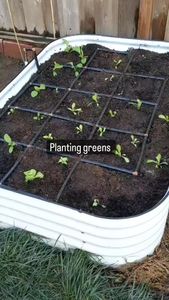 Instagram post by @ds.gardening