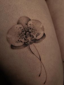 Instagram post by @tattooednostalgia