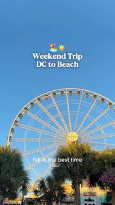 Instagram post by @yourdcbestie