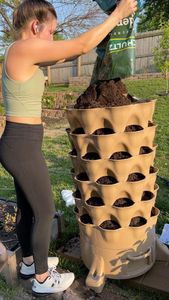 Instagram post by @backyard.gardener.rach