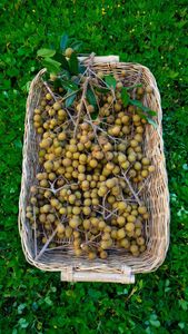 Instagram post by @fullyrawkristina