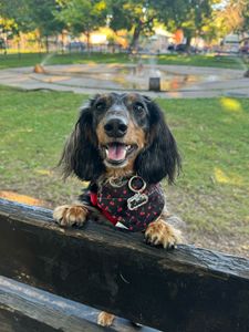 Instagram post by @lulu_gurl