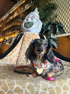 Instagram post by @lulu_gurl