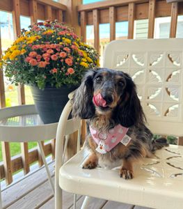 Instagram post by @lulu_gurl