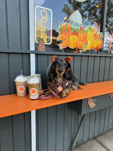 Instagram post by @lulu_gurl