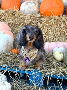 Instagram post by @lulu_gurl