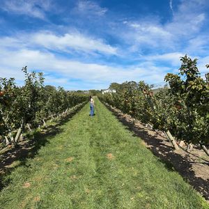 Instagram post by @michellegriffithnyc