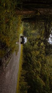 Instagram post by @tn_taco