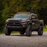 @tn_taco Instagram Profile