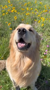 Instagram post by @skylarbean