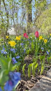 Instagram post by @sarahjaynexplores