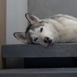 Instagram post by @matt_stonie