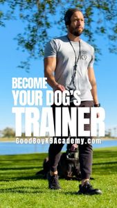 Instagram post by @good.boyk9