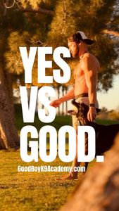 Instagram post by @good.boyk9