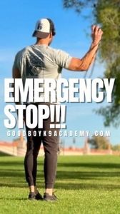 Instagram post by @good.boyk9