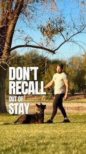 Instagram post by @good.boyk9