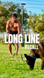 Instagram post by @good.boyk9