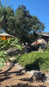 Instagram post by @vintageonq