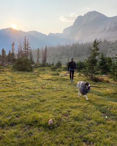 Instagram post by @morganconolly