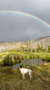 Instagram post by @morganconolly