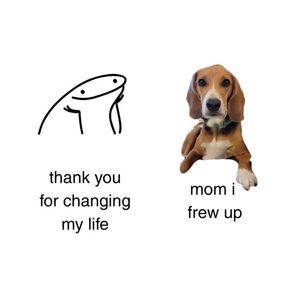 Instagram post by @thebalancedbeagle