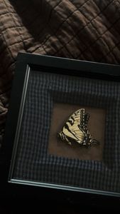 Instagram post by @toni.b.does.things