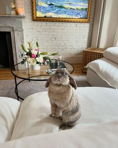 Instagram post by @claudiaaharrington