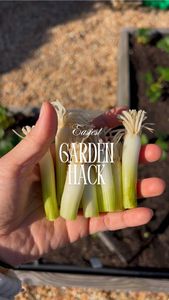 Instagram post by @itsafterfive