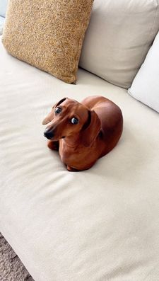 Instagram post by @kinako_shortlegs