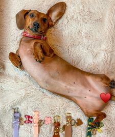 Instagram post by @kinako_shortlegs