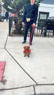 Instagram post by @kinako_shortlegs