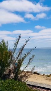 Instagram post by @thevoguesavvy