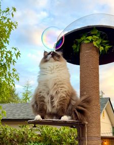 Instagram post by @willowdeaux