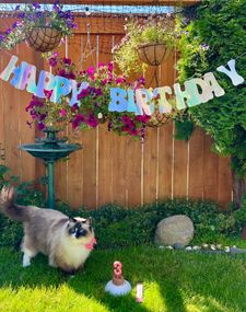 Instagram post by @willowdeaux