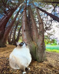 Instagram post by @willowdeaux