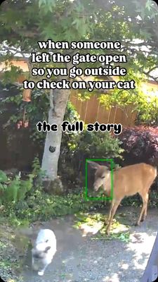 Instagram post by @willowdeaux