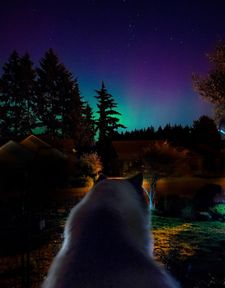 Instagram post by @willowdeaux