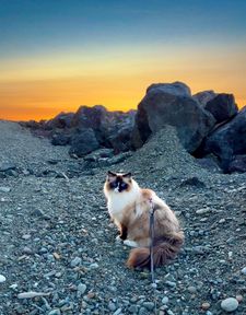 Instagram post by @willowdeaux