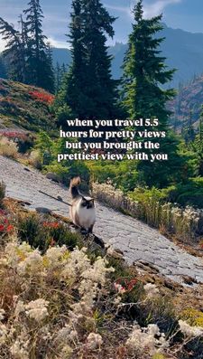 Instagram post by @willowdeaux