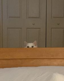 Instagram post by @delilahanddecklyn