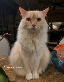 Instagram post by @delilahanddecklyn