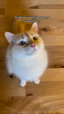 Instagram post by @delilahanddecklyn