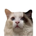 @delilahanddecklyn Instagram Profile