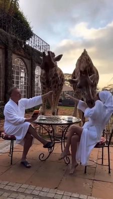 Instagram post by @dativeapp