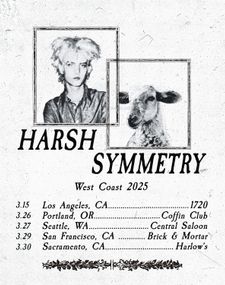 Instagram post by @harsh.symmetry